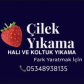 🍓 Çilek Koltuk Yıkama