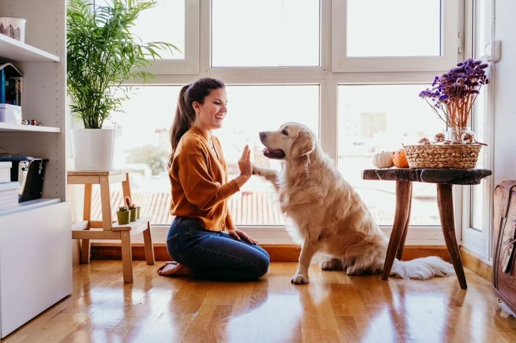 Evde Beslenebilen Köpek Türleri